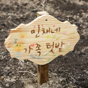 미가데코 미가데코 텃밭 이름표 만들기반제품 나무간판