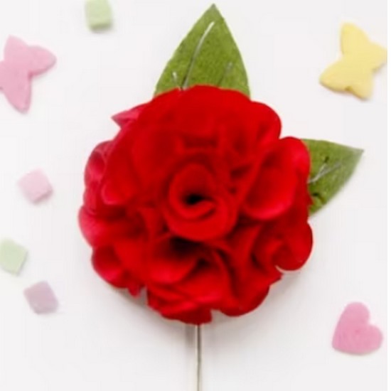 Always ī���̼� ����Ͽ� ���ġ+�뵷����+ī�� ��Ʈ