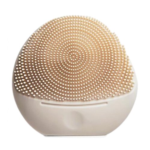 쥬베라 미니 크림볼_이미지