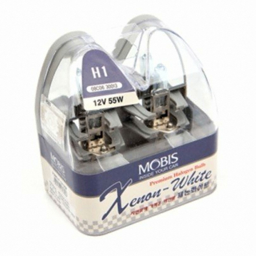 ������ ���� ����