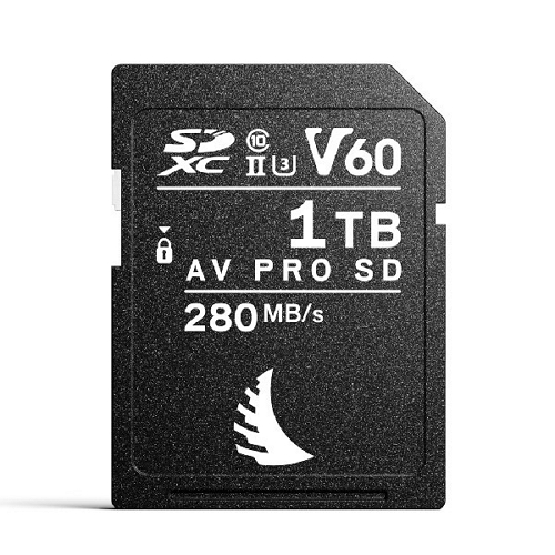 엔젤버드 SD AV PRO MK2 V60 (1TB)