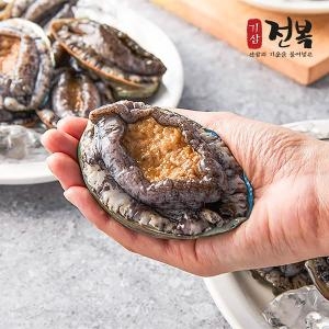 신선특허 내일받는 기삼전복 대 10-12미 1kg