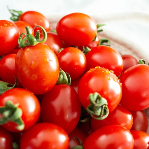 새콤달콤 대추방울토마토 4~5번 5kg