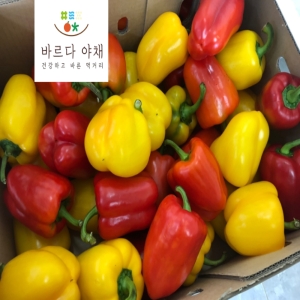 바르다야채 혼합파프리카 빨+노 1kg