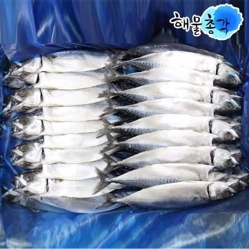 해물총각 간고등어 1박스 국내산 자반고등어 20개 4.2kg_이미지