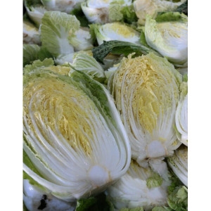 박씨네 절임배추 20kg