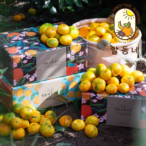 알동네 하우스감귤 4.5kg 프리미엄S과_이미지
