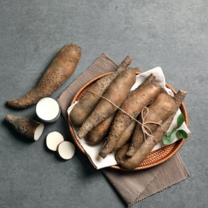 농협 산마 알뜰 2kg 안동마 진주마 생마 참마 장마_이미지