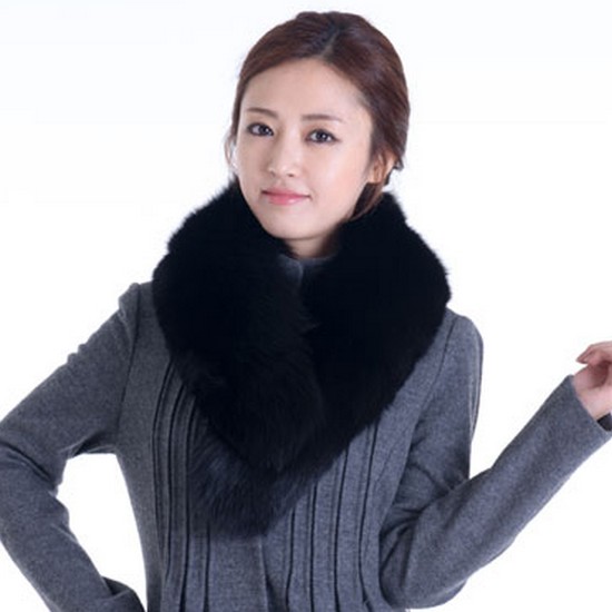 폭스 카라 BF1633