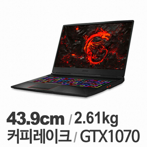 MSI GE시리즈 GE75 레이더 RGB 8RF (SSD 256GB)