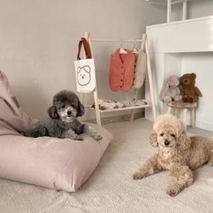 [불명] 까유니아 반려동물행거 원목 우드 2단 행거 L