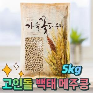 국내산백태 메주콩 백태콩 5kg
