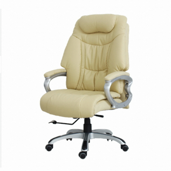 ���������� �Ķ�� ħ���� ����