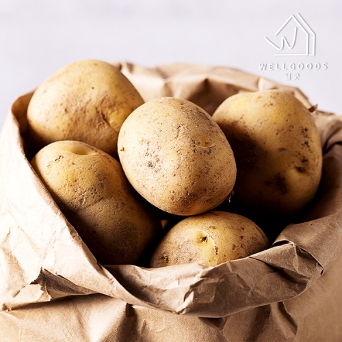 웰굿 강원도 포슬포슬한 두백감자 왕특 2kg (1개)_이미지