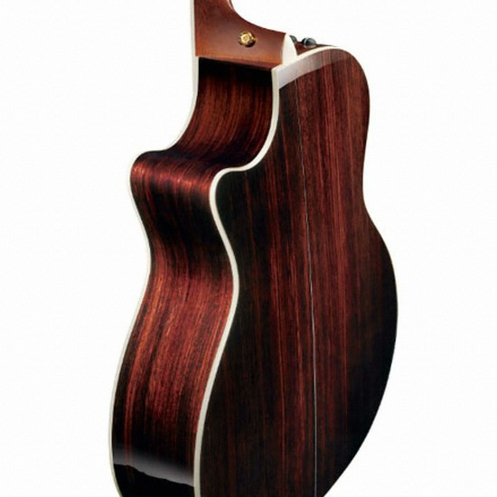 테일러 ㅤ914CE_이미지