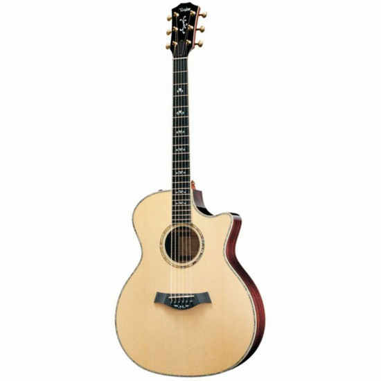 테일러 ㅤ914CE_이미지