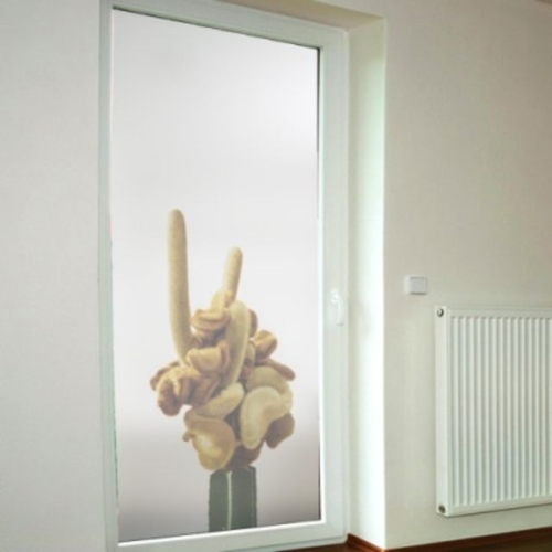 꾸밈 ib129-솜털선인장 (100 x 210cm)_이미지
