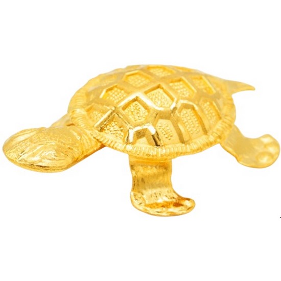 행운등딱지 거북이 3.75g