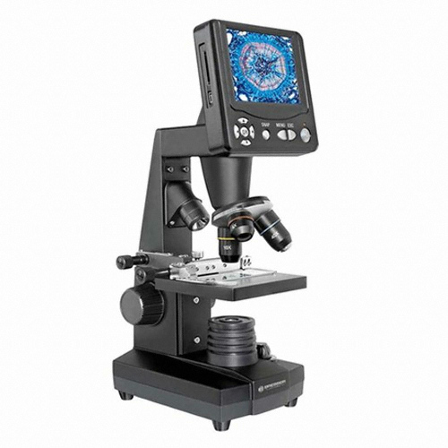 �극�� ������ 2000���� �������̰�