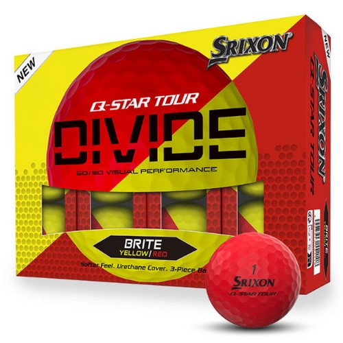 ���� ������ 2024 Q-STAR ���� ����̵� ���ο�+����