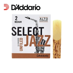 �ٴٸ��� ���� �����Ʈ �����ϵ� ���� 2M ���������� ���������콺�ǽ� daddario