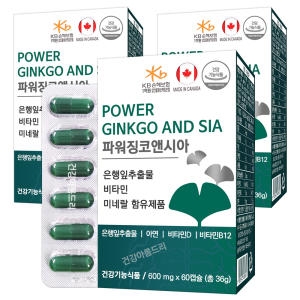 파워 징코앤시아 60캡슐_이미지
