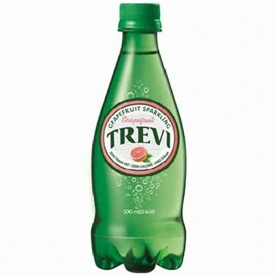 롯데칠성음료 트레비 자몽 500ml (24개)