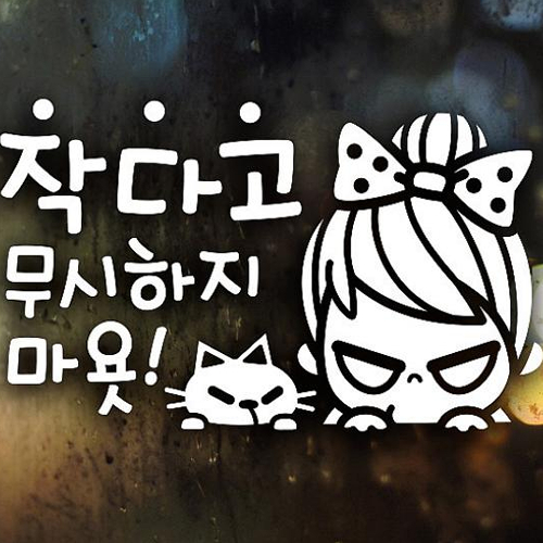 제제데코 작다고 무시하지 마욧