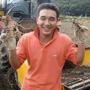 6-4년 수삼 난발삼 햇삼 콩난발삼500G