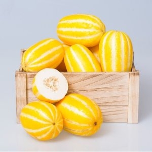 자연품애 가정용 참외 실중량 4.5kg 랜덤과_이미지