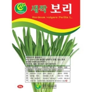 새싹보리씨앗/50g 보리 보리싹 보리씨앗 새싹채소씨앗