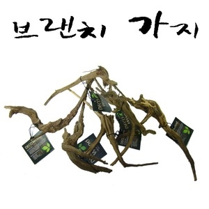 카즈미 열대어/도둑게/거북이 수족관및어항꾸미기-브렌치가지