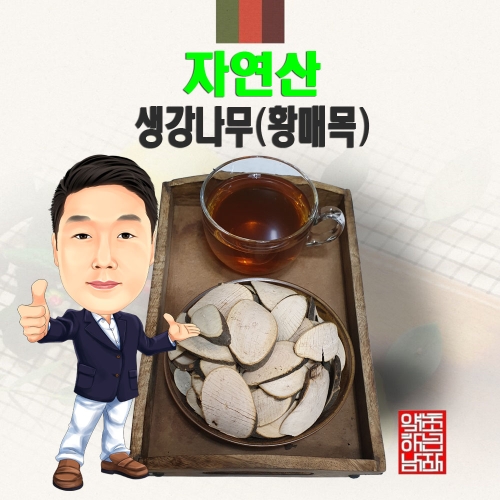 자연산 생강나무 황매목   경북 영천  야생 국내산 국산_이미지