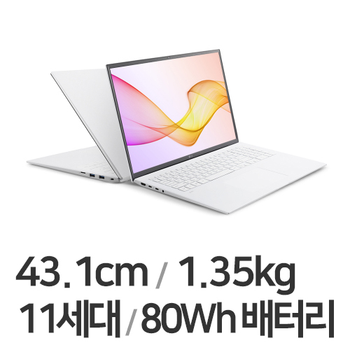 LG전자 2021 그램17 17Z90P-GA76K (SSD 512GB)