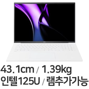 LG전자 2024 그램17 17ZD90SU-GX56K WIN10 16GB램