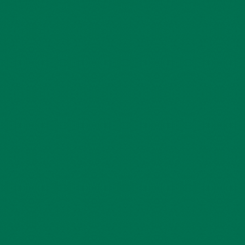 SAVAGE 18 EverGreen Ǯ������ �ѹ����