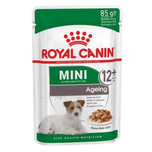 �ѱ����� �ξ�ĳ�� �� �̴� ����¡ 12+ �Ŀ�ġ 85g