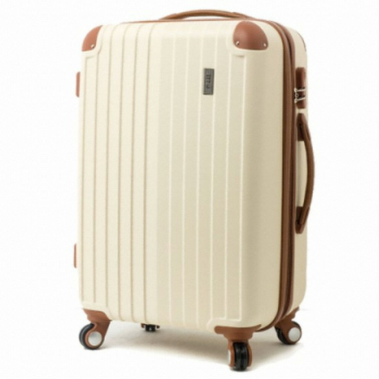 ���ٽ� 25��ġ ĳ���� EA-102 (������)