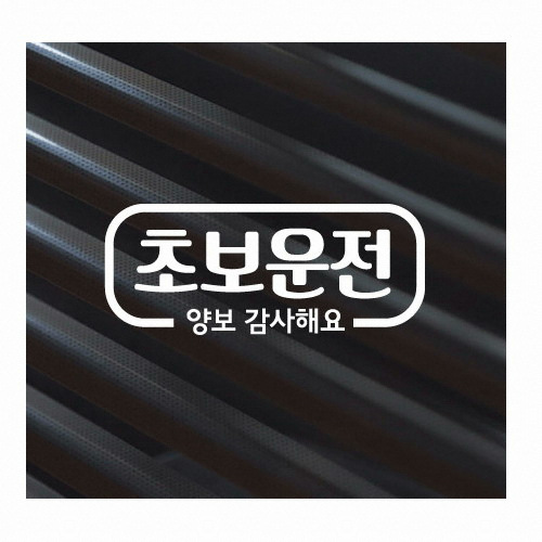 제제데코 자동차스티커 심플라인 초보운전 양보 감사합니다 화이트 004 (1개)