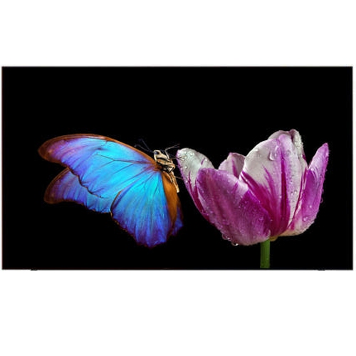 프리토스 FT750SUHD 이동형 패키지_이미지