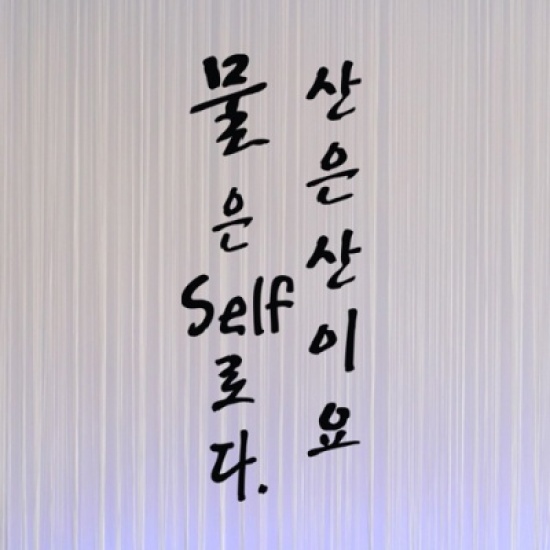 꾸밈 is351 물은셀프로다포인트스티커