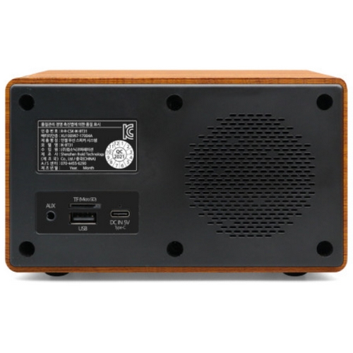 ���� IK-BT31