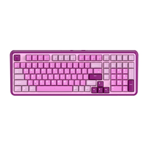 GDEVIL G812 METEOR 기계식 와인퍼플_이미지