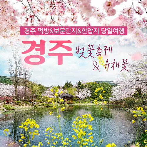 ㅤ힐링투어라인 경주 먹방 보문단지 벚꽃축제&동궁과 월지 유채꽃 당일여행 (인천출발)_이미지