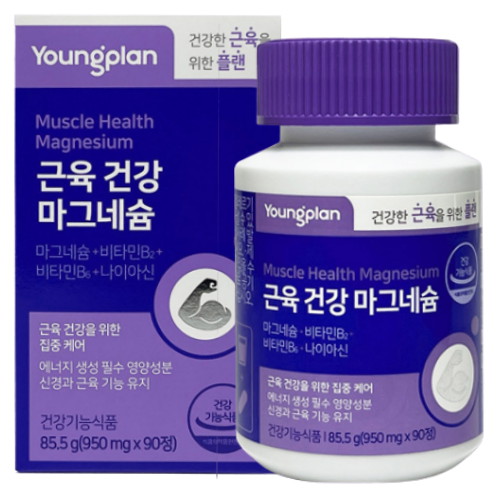 영진약품 영플랜 근육 건강 마그네슘 90정 (3개)