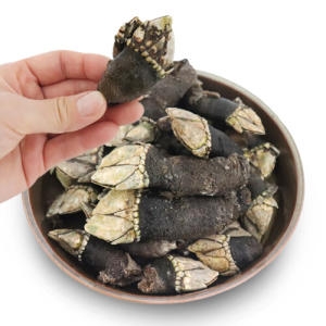자연산 거북손 1kg 냉동