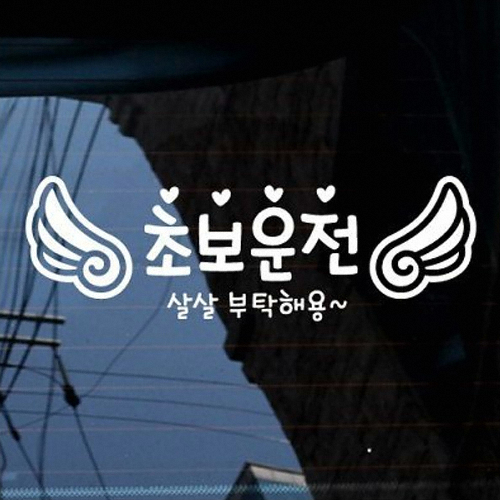 제제데코 초보운전 살살 부탁해용 (반사)