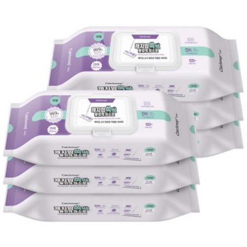 Ŭ���� ĳġ�� ���� ���ɷ� û���� ���� 25��