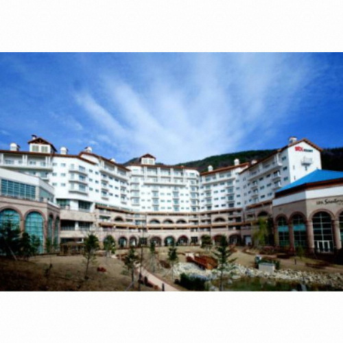 [�Ҹ�] ��� ���� STX ȣ��&����Ʈ