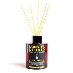 센츠라이브러리 몬스터스튜디오 디퓨저 100ml (1개)_이미지